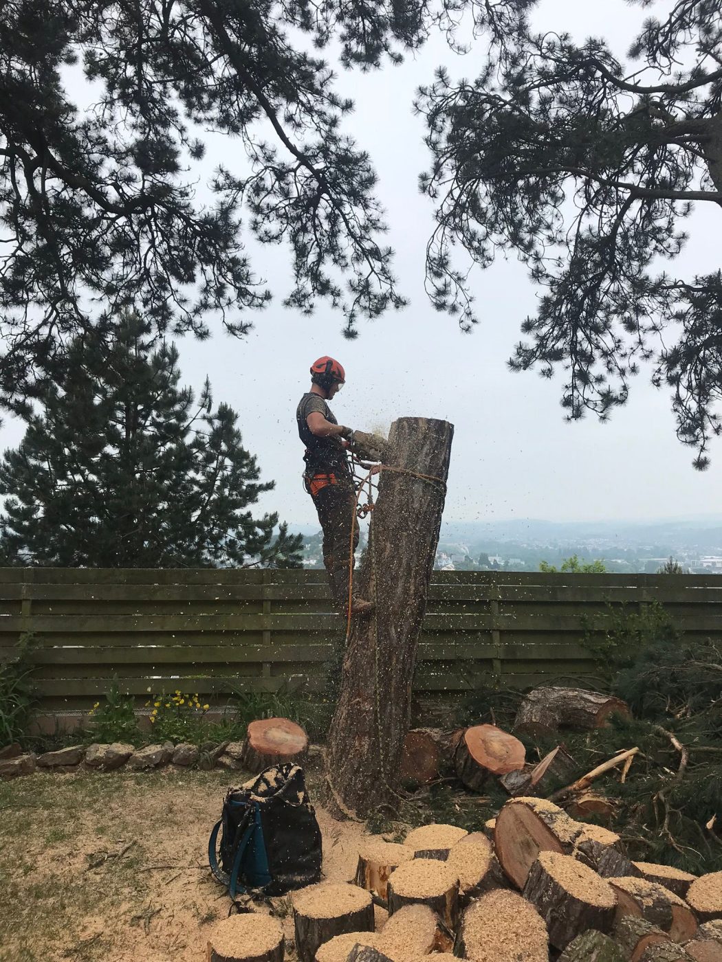 A person in safety gear cutting a large tree stump with a chainsaw, surrounded by cut logs and wood chips.