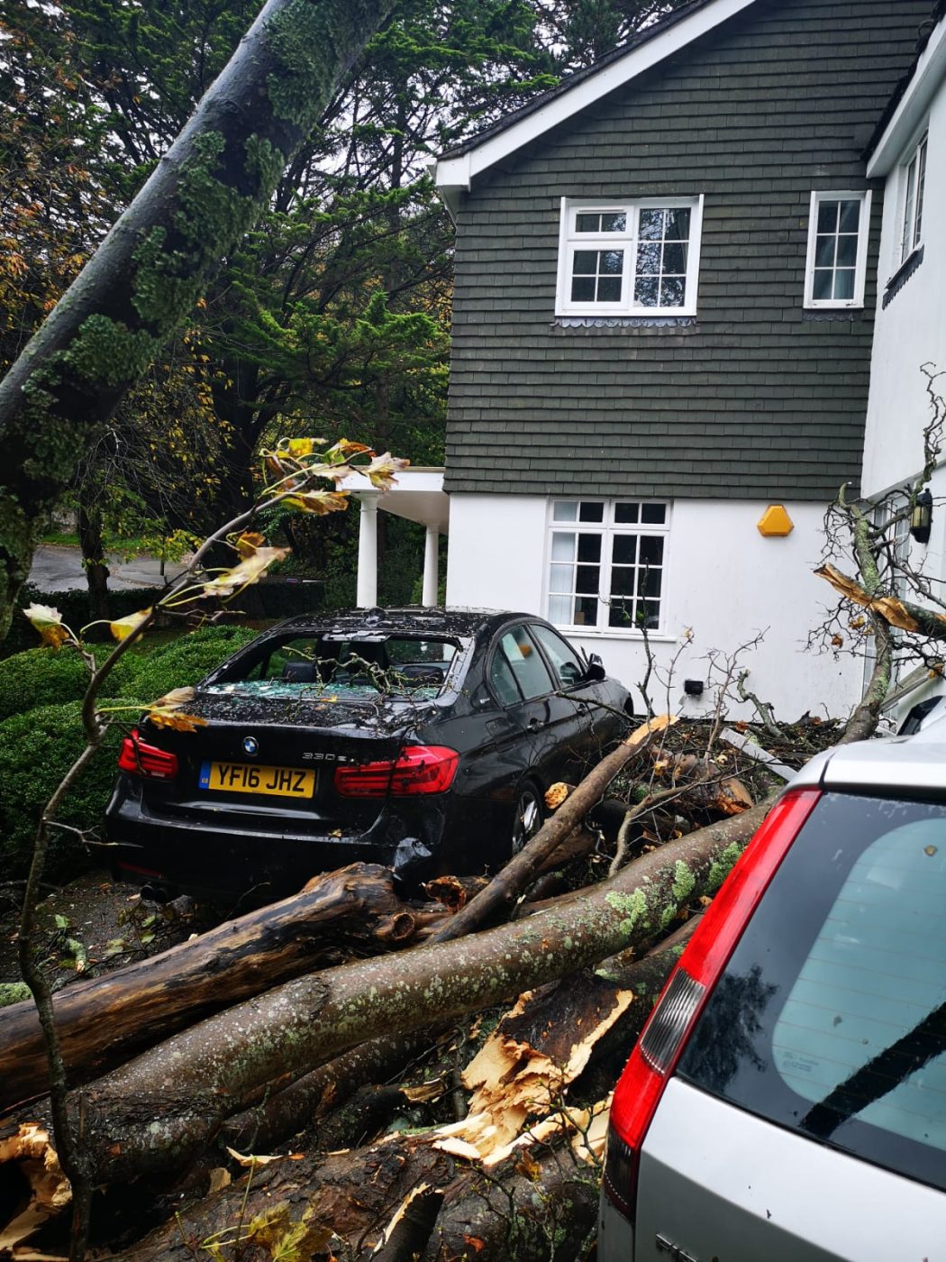 A car damaged by fallen trees in front of a grey-shingled house.