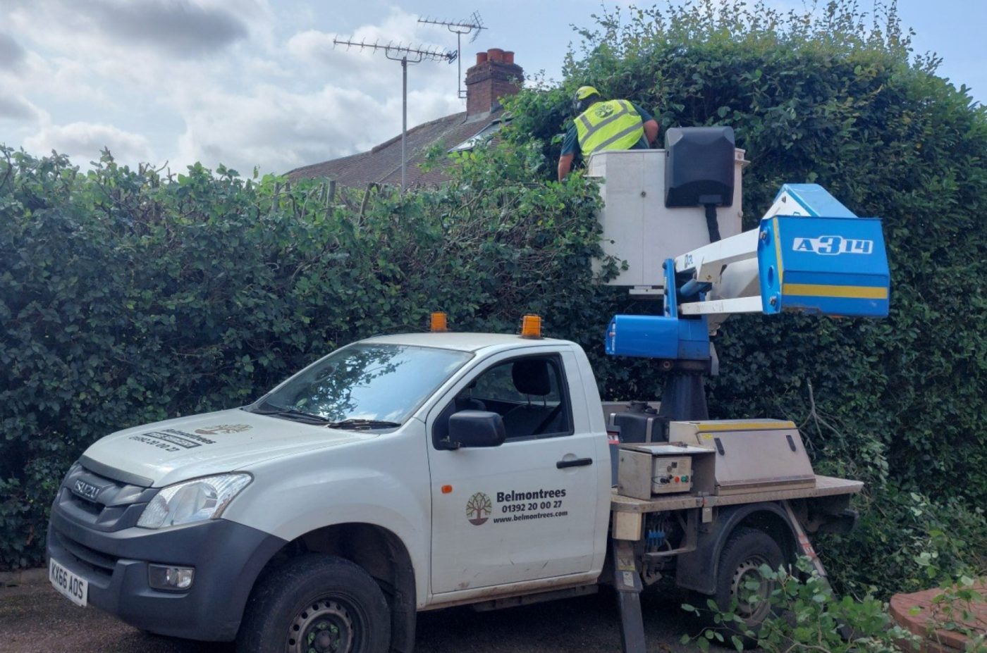 grounds maintenance - A white Belmontrees utility truck with an elevated platform is parked on a street while a worker in a high-visibility vest trims the top of a tall, dense hedge. Rooftops and antennas are visible in the background under a partly cloudy sky