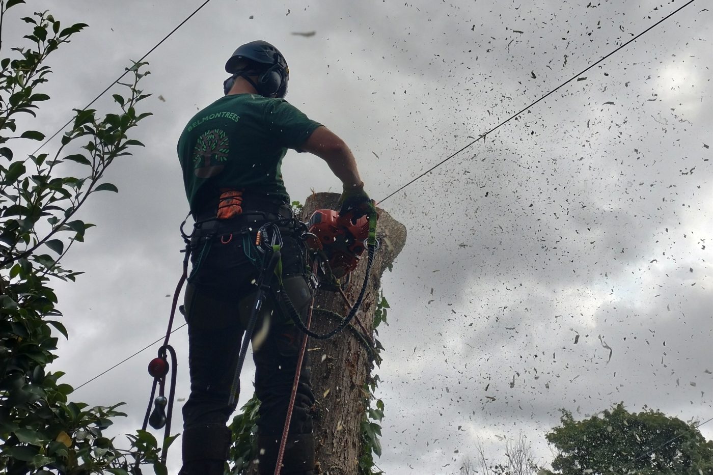 Arborist using a chainsaw to cut the top of a tree trunk while secured with climbing ropes, with wood chips flying against a cloudy sky