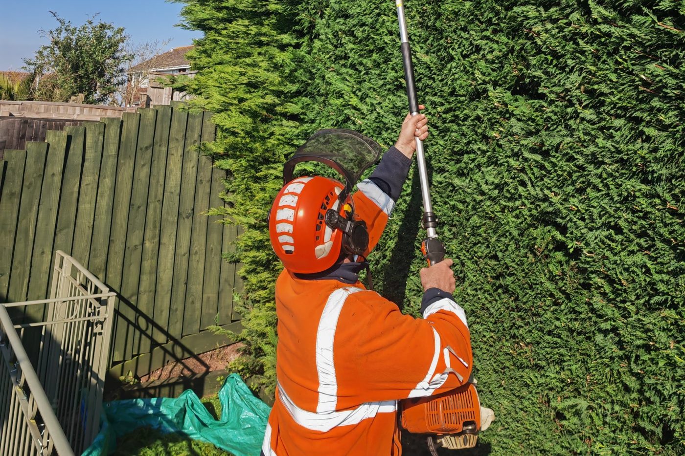Person wearing orange safety gear and helmet using a long-handled hedge trimmer to cut tall green hedges in a garden, with a wooden fence and tarp visible in the background.